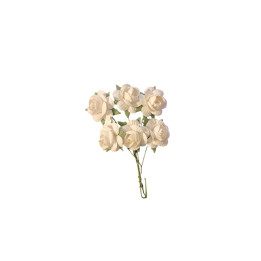 copy of 